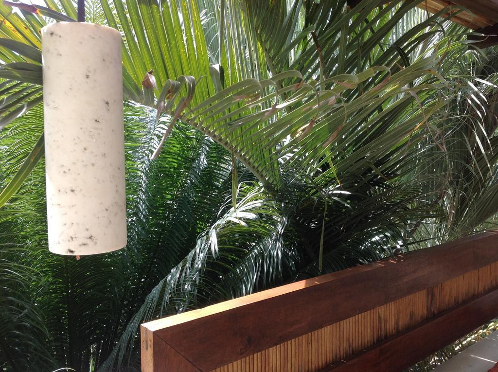 Casa Flor De Mar Hotel Zipolite Ngoại thất bức ảnh